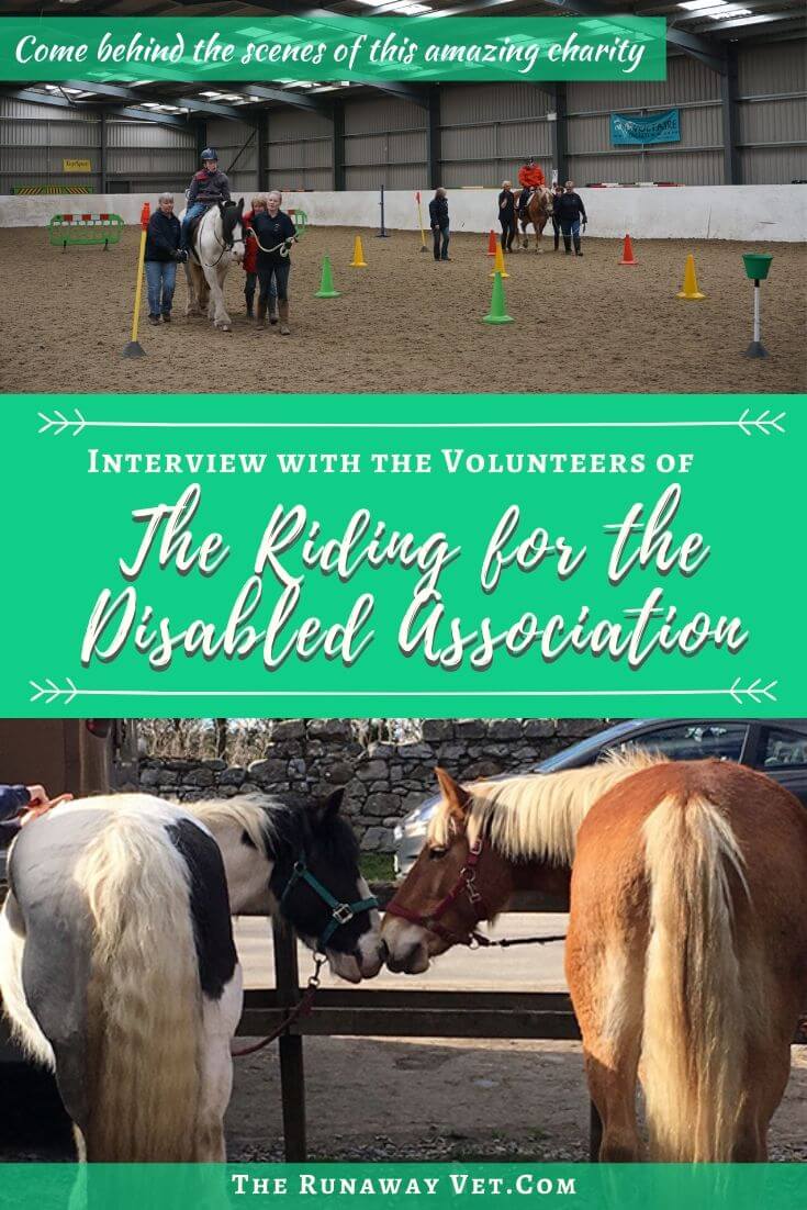 Volunteer Interview: Riding for the Disabled Association (RDA) - The ...