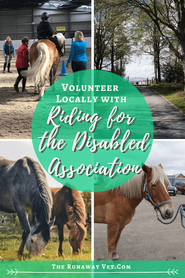 Volunteer Interview: Riding for the Disabled Association (RDA) - The ...
